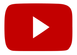 Narungsergänzungsmittel gegen FIP